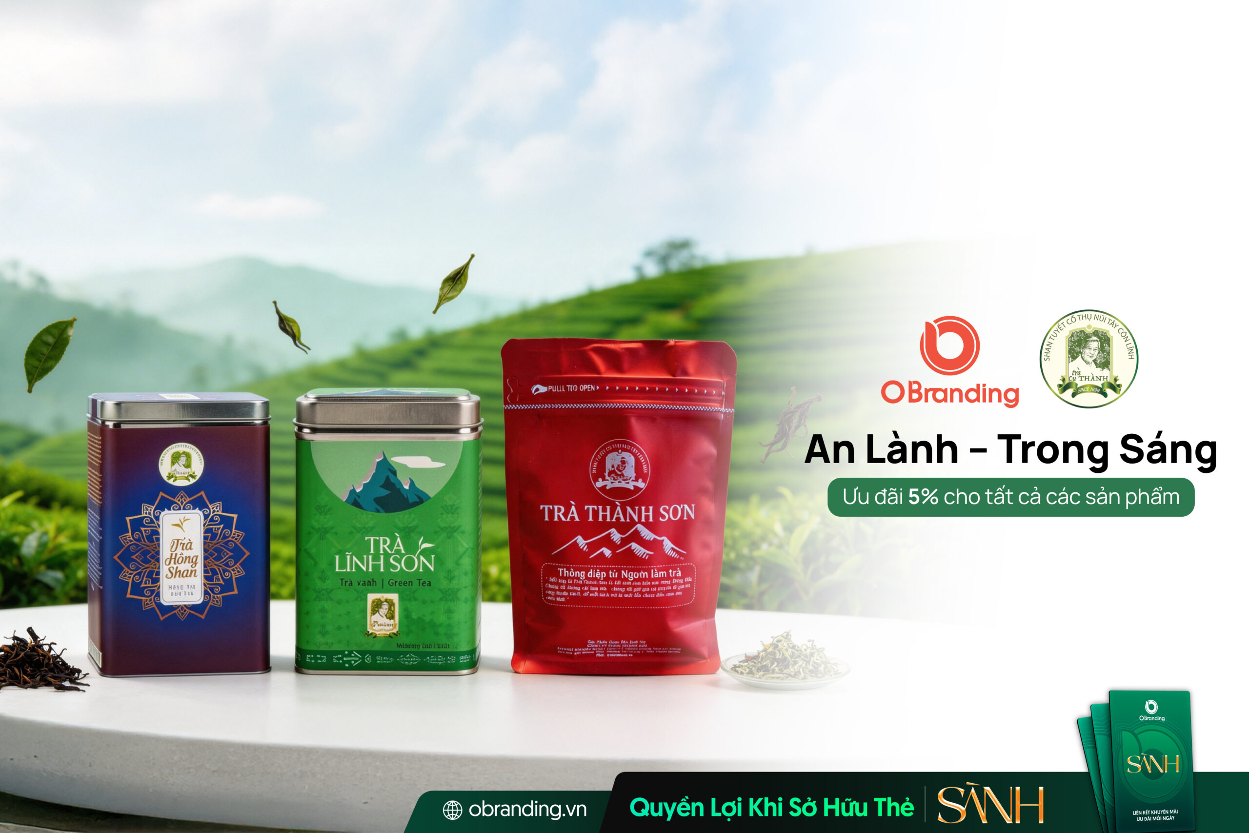 Công Ty Trách Nhiệm Hữu Hạn Thành Sơn – Gìn Giữ Giá Trị Trà Shan Tuyết Cổ Thụ