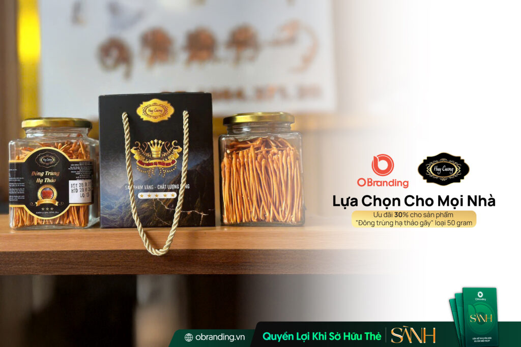 Đông Trùng Hạ Thảo Huy Cương – Hành Trình Hiện Thực Hóa Giá Trị Từ Điều Kiện Nuôi Cấy Mô Phỏng Tự Nhiên