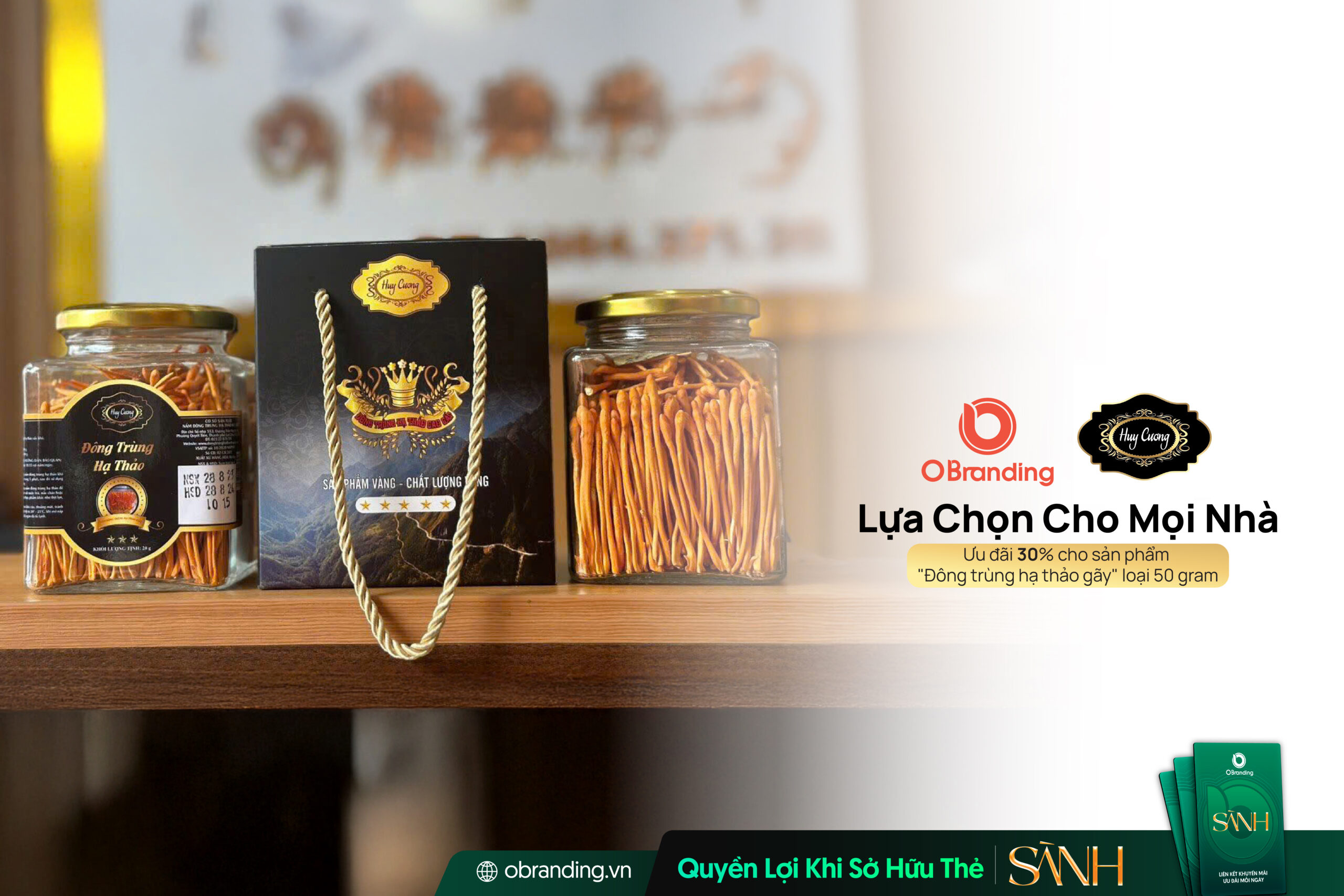 Đông Trùng Hạ Thảo Huy Cương – Hành Trình Hiện Thực Hóa Giá Trị Từ Điều Kiện Nuôi Cấy Mô Phỏng Tự Nhiên