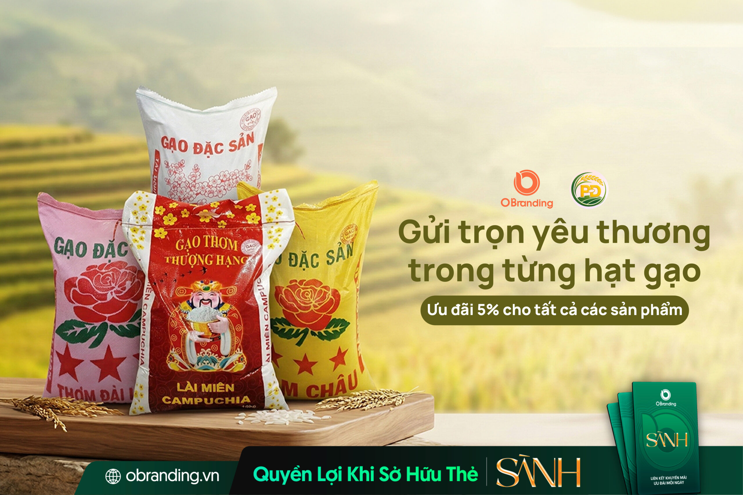 Hộ Kinh Doanh Phúc Điền – Gửi Trọn Yêu Thương Trong Từng Hạt Gạo