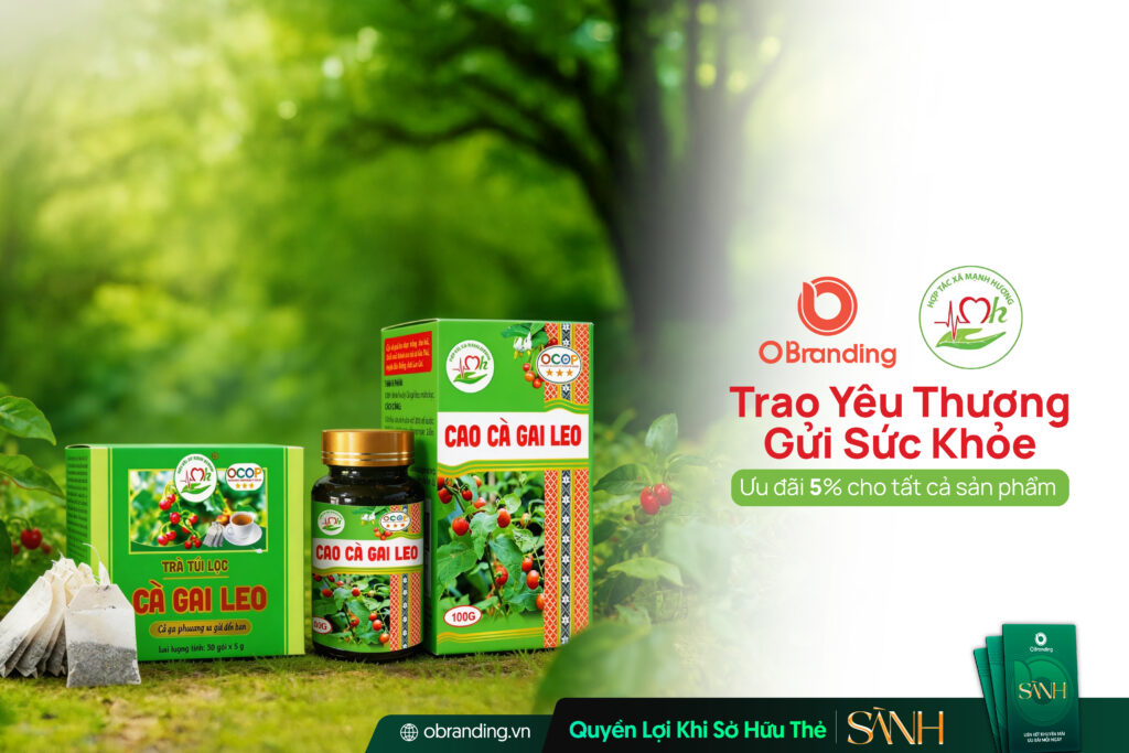 Hợp Tác Xã Nông Sản Dược Liệu Mạnh Hương – Mang Tinh Hoa Vùng Cao Đến Gian Bếp Việt