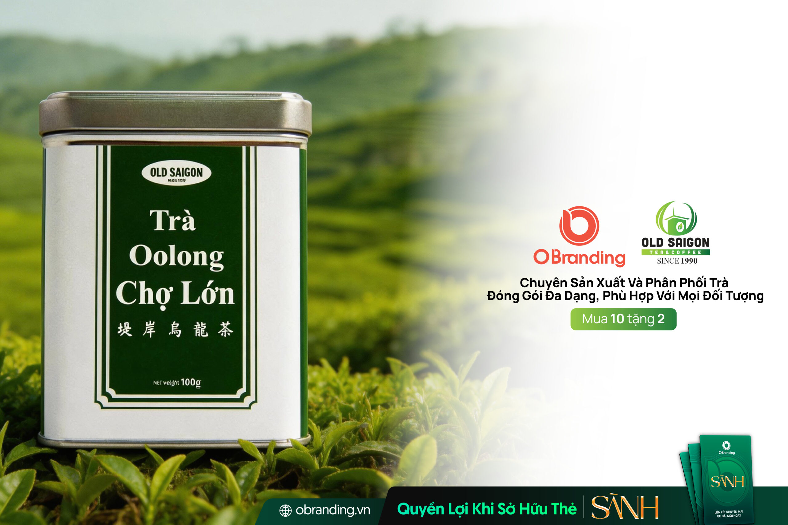 TRÀ SÀI GÒN – Giải Pháp Trà Đóng Gói Đa Dạng Dành Cho Mọi Đối Tượng