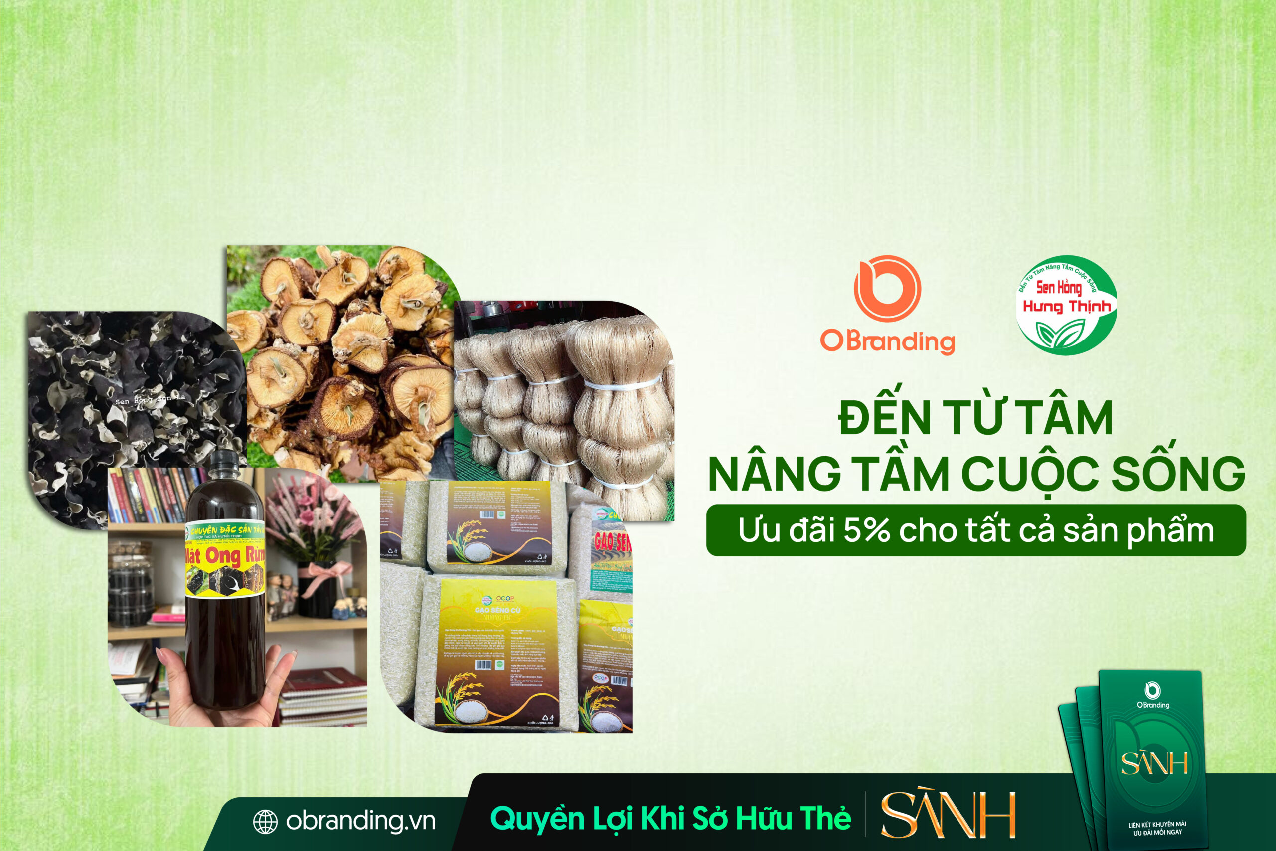 Hợp Tác Xã Sen Hồng Hưng Thịnh – Liên Kết Sản Xuất Và Đồng Hành Cùng Giá Trị Nông Sản Bền Vững