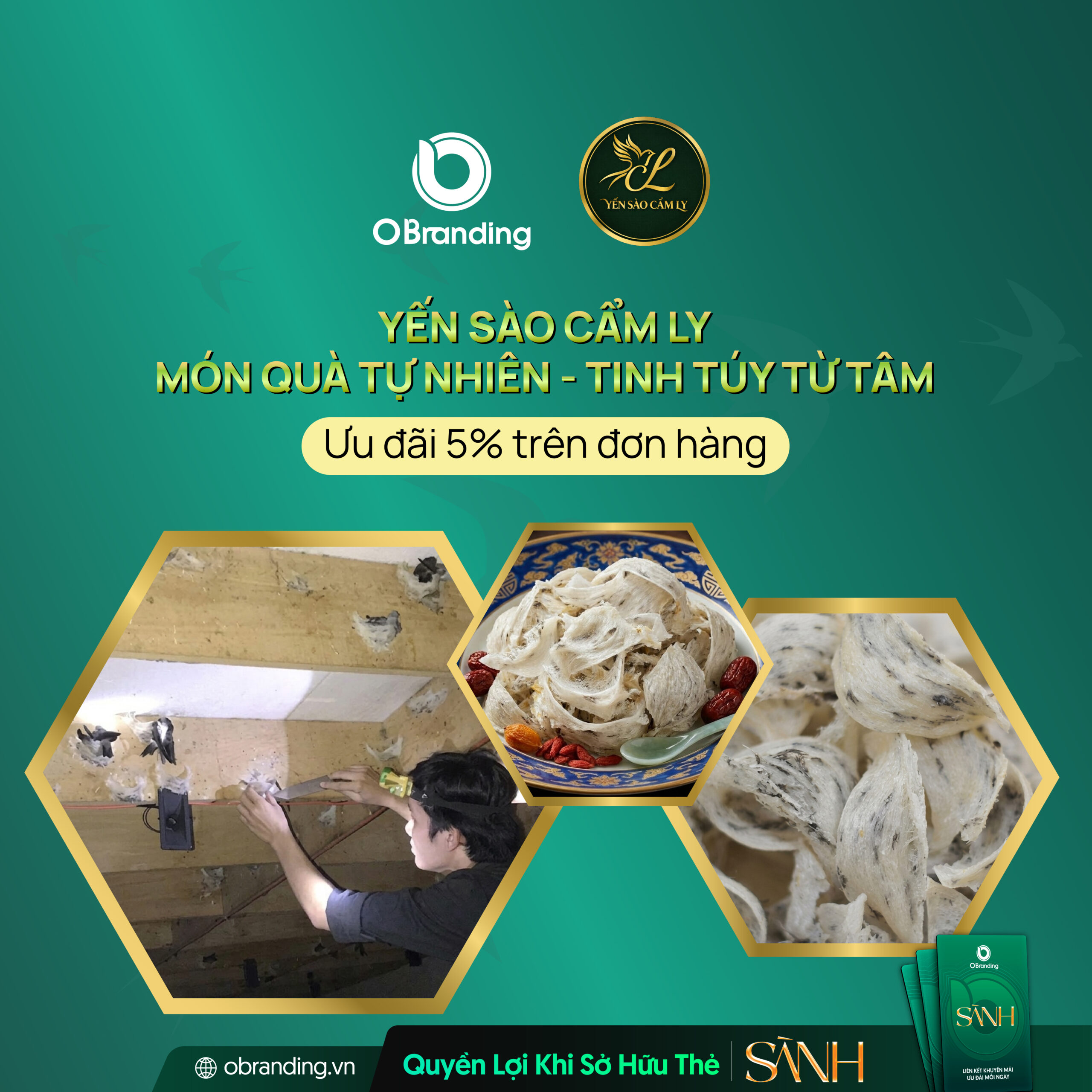 CÔNG TY TNHH YẾN SÀO CẨM LY