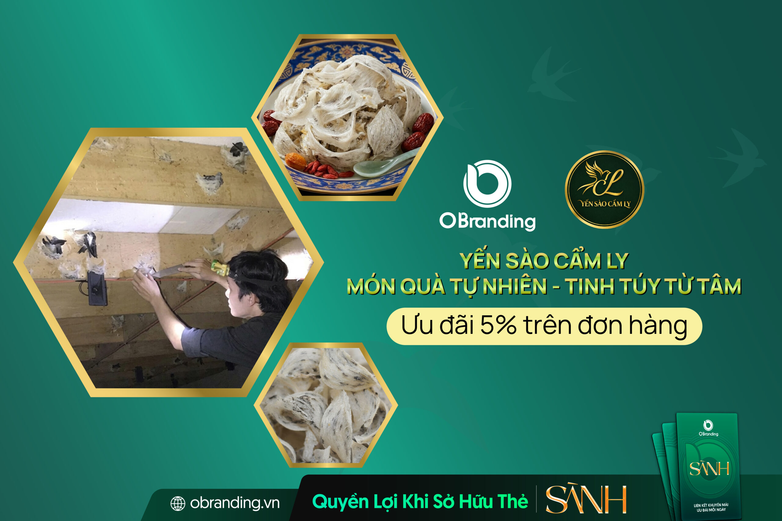 CÔNG TY TNHH YẾN SÀO CẨM LY