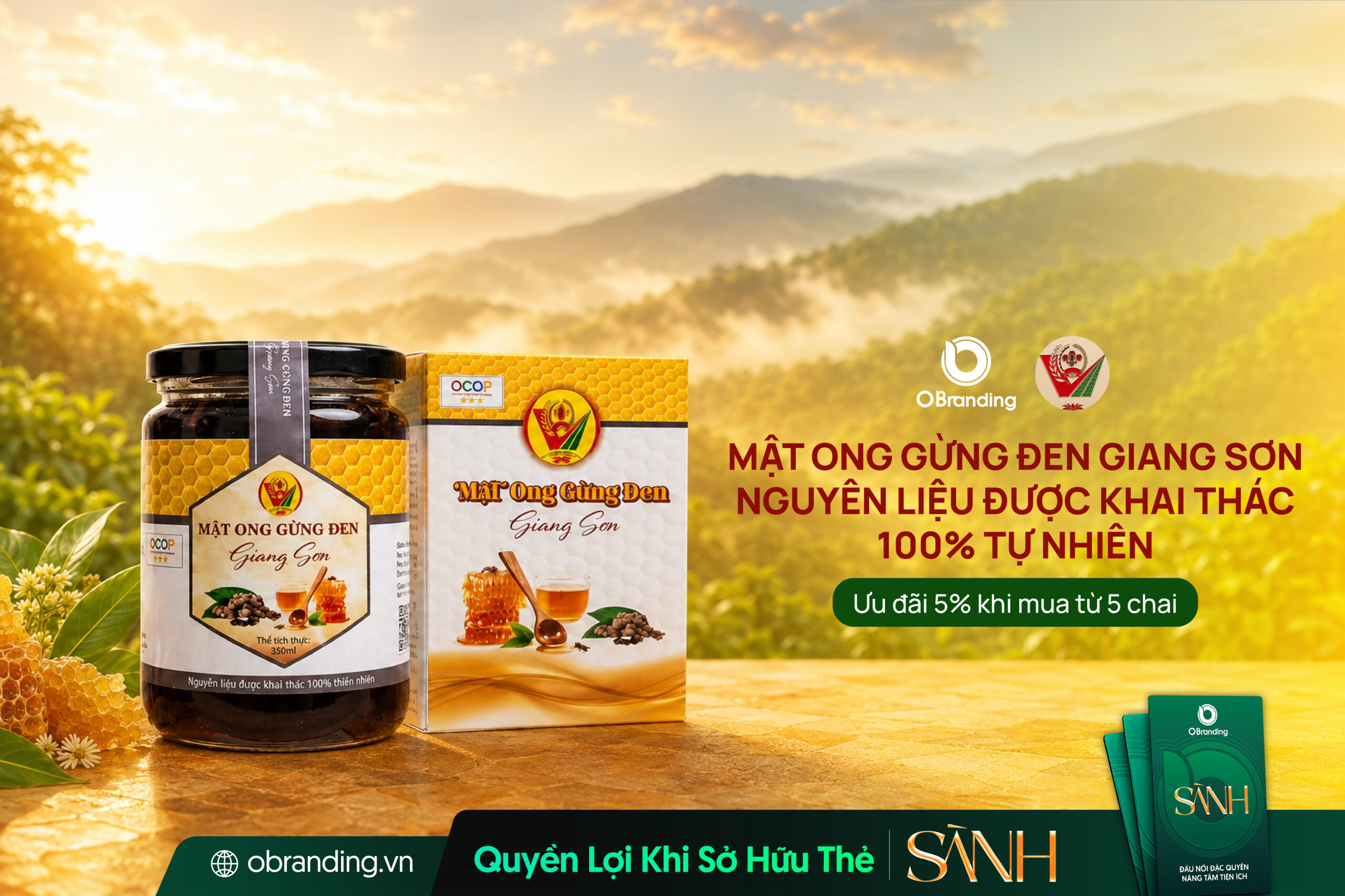 Mật Ong Gừng Đen Giang Sơn