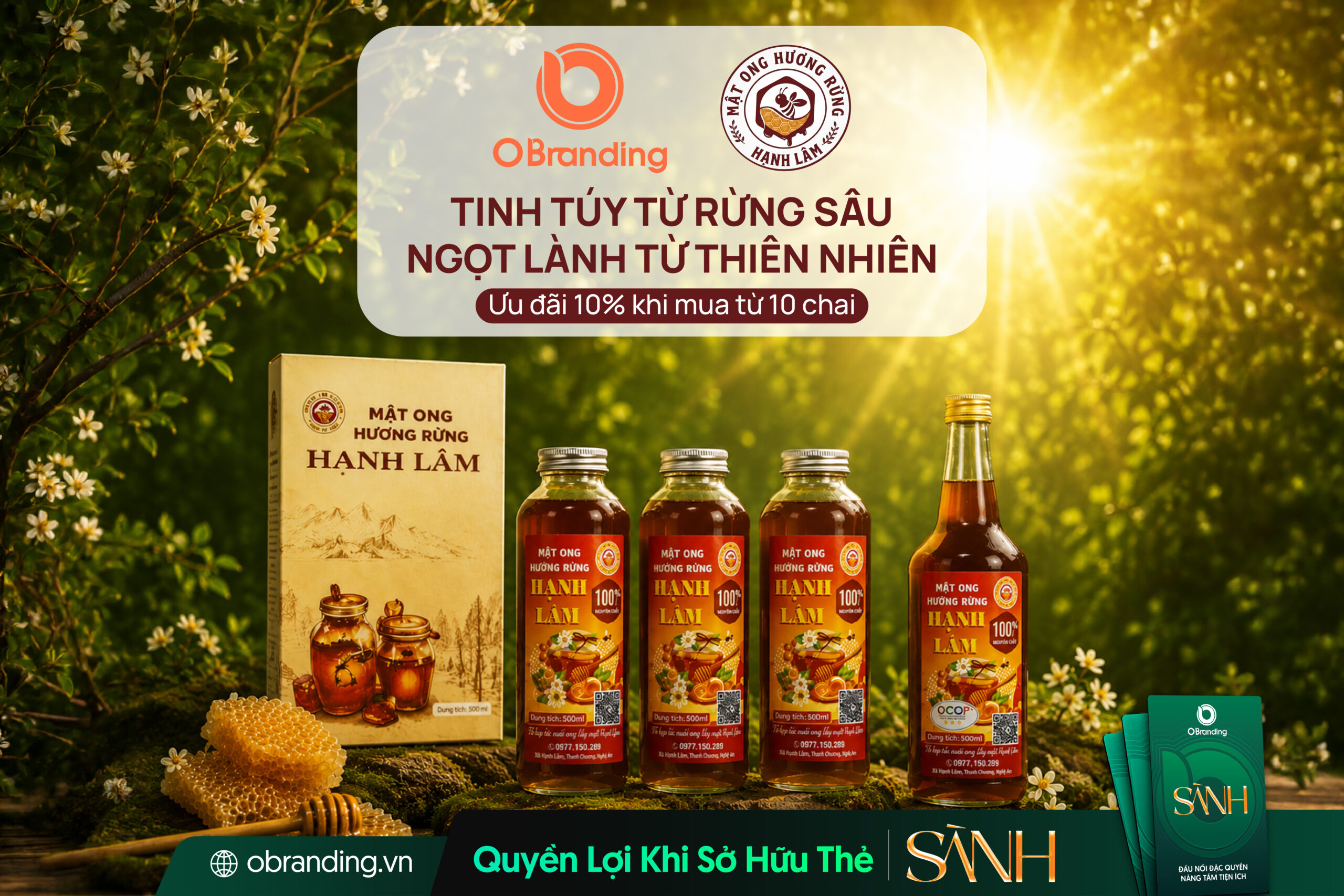 MẬT ONG HƯƠNG RỪNG HẠNH LÂM