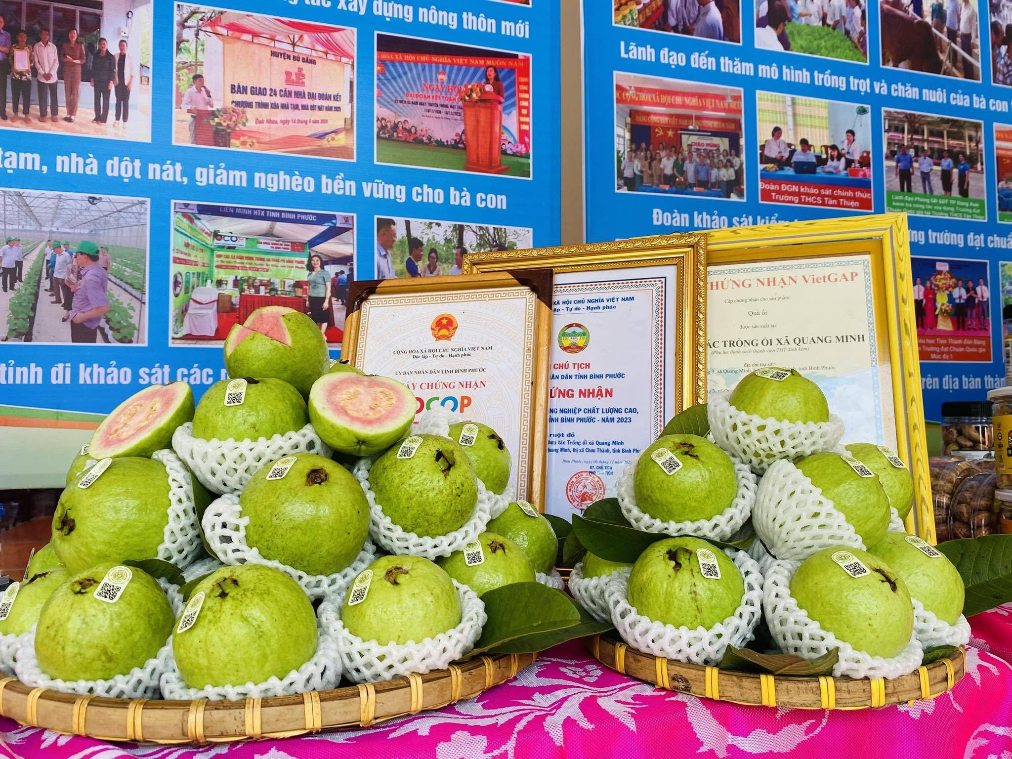 TỔ HỢP TÁC ỔI QUANG MINH