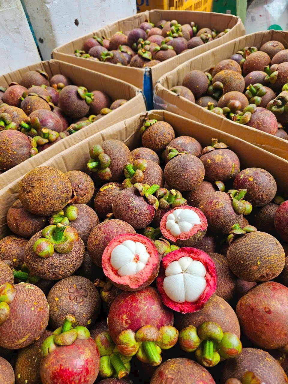 Trái cây tươi Tâm Ngọc