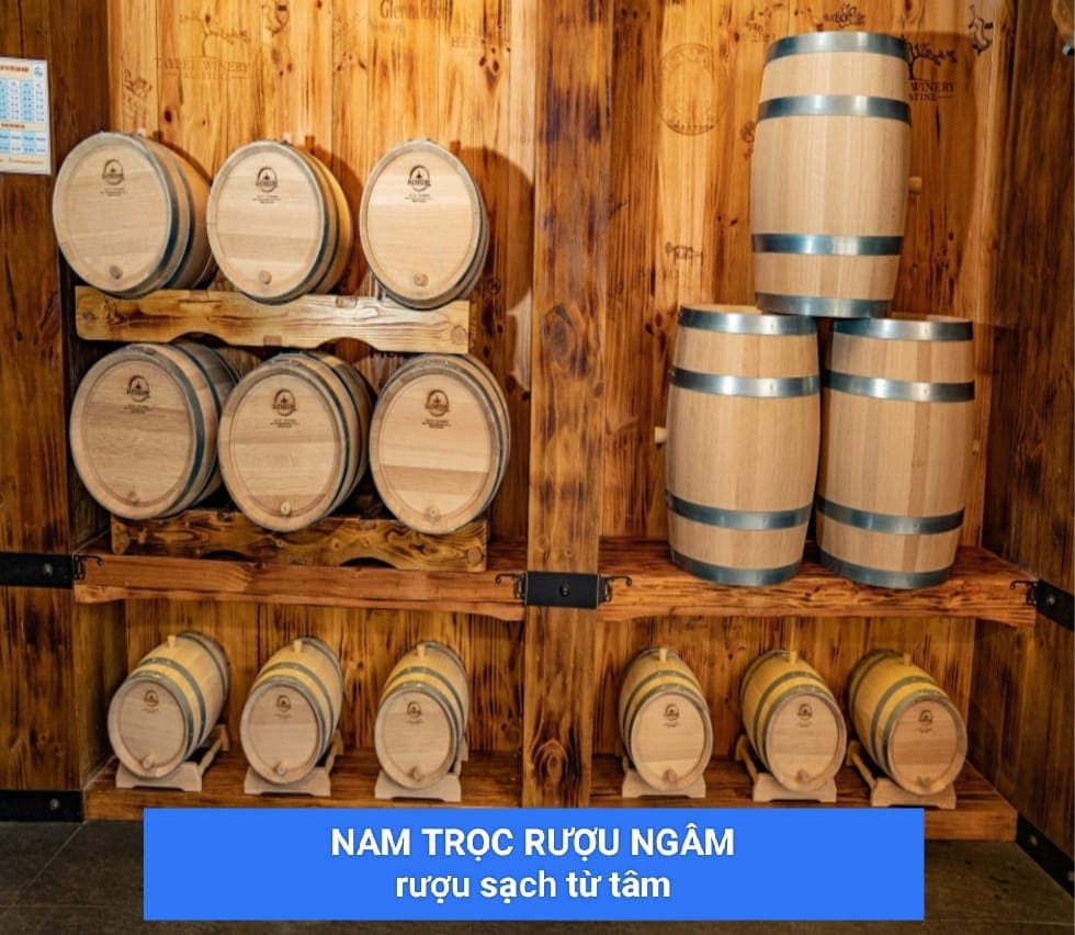 NAM TRỌC RƯỢU NGÂM