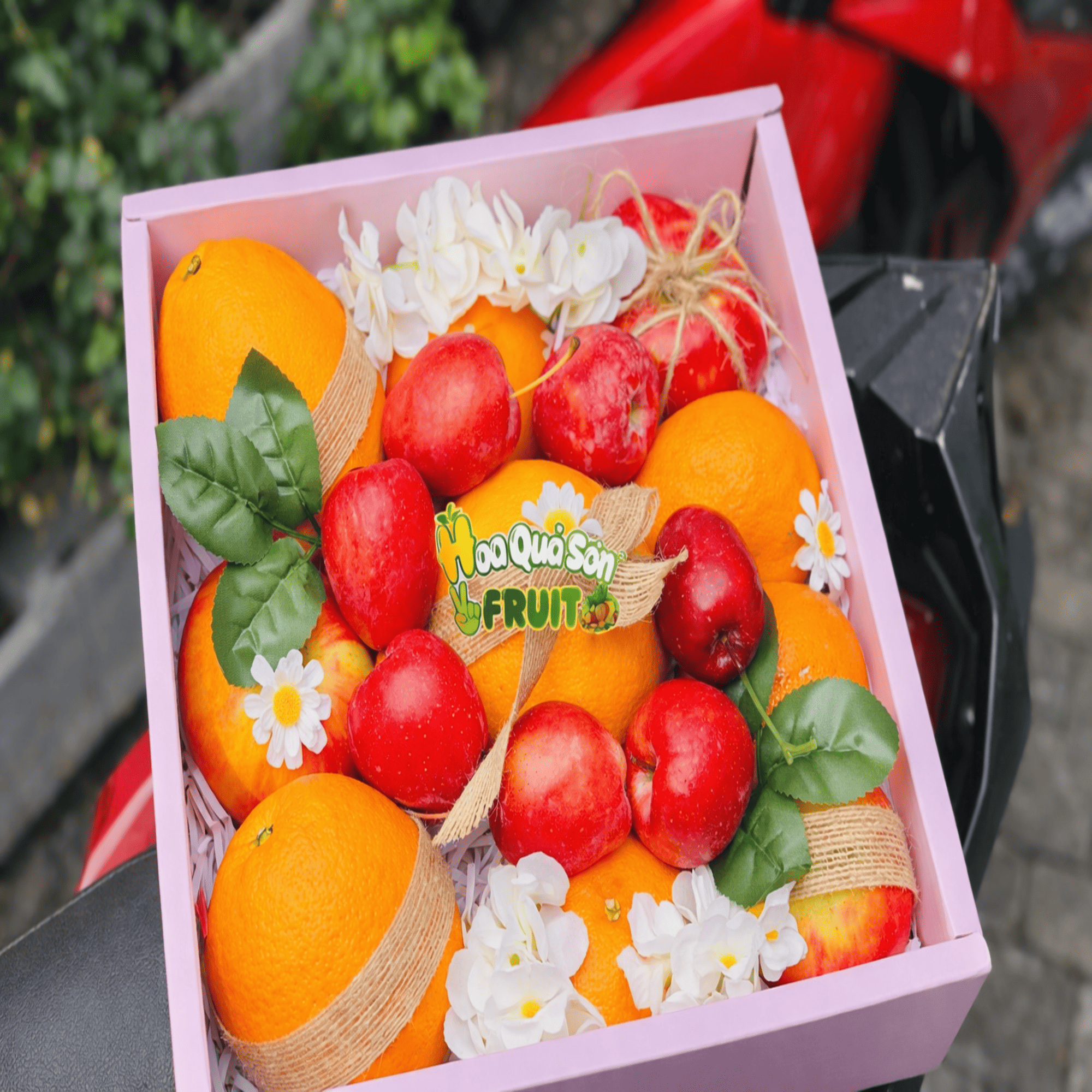 HỘ KINH DOANH HOA QUẢ SƠN