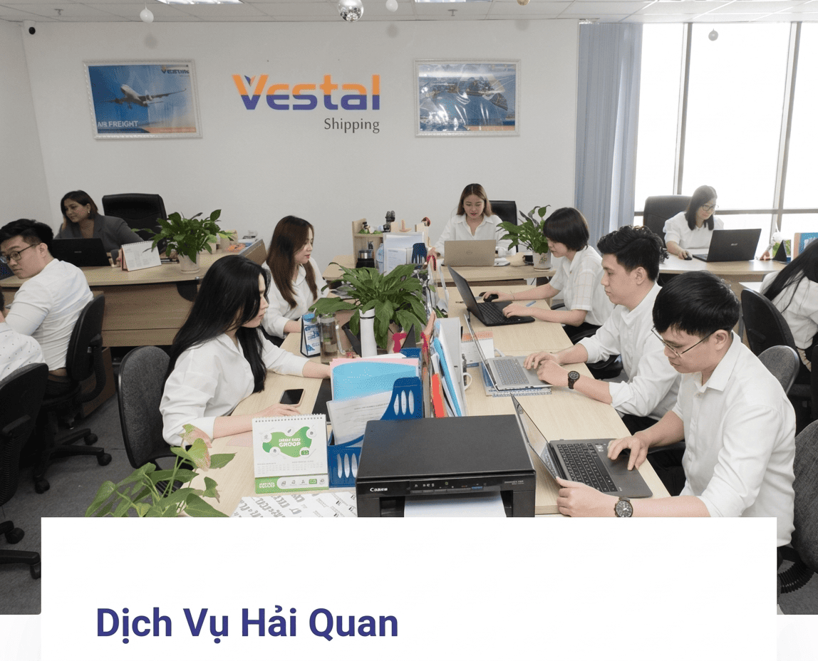 CÔNG TY TNHH DỊCH VỤ VẬN TẢI BIỂN Vestal Shipping