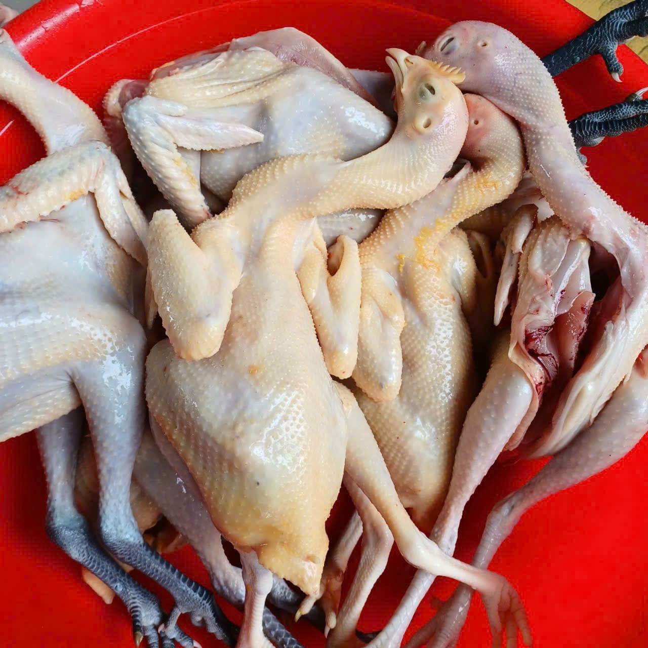 HỘ KINH DOANH TRÀNG TẤN LỘC