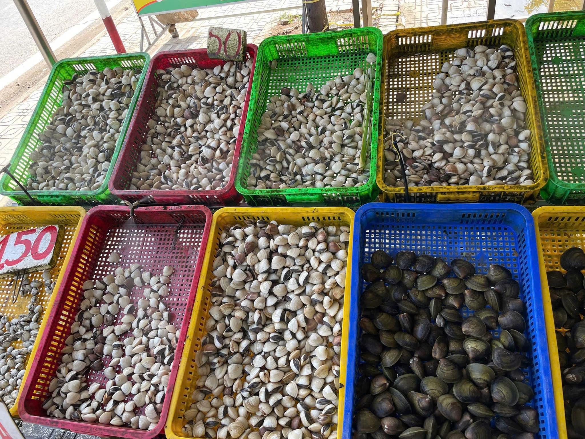 HỘ KINH DOANH NGUYỄN THỊ NGỌC ĐIỆP