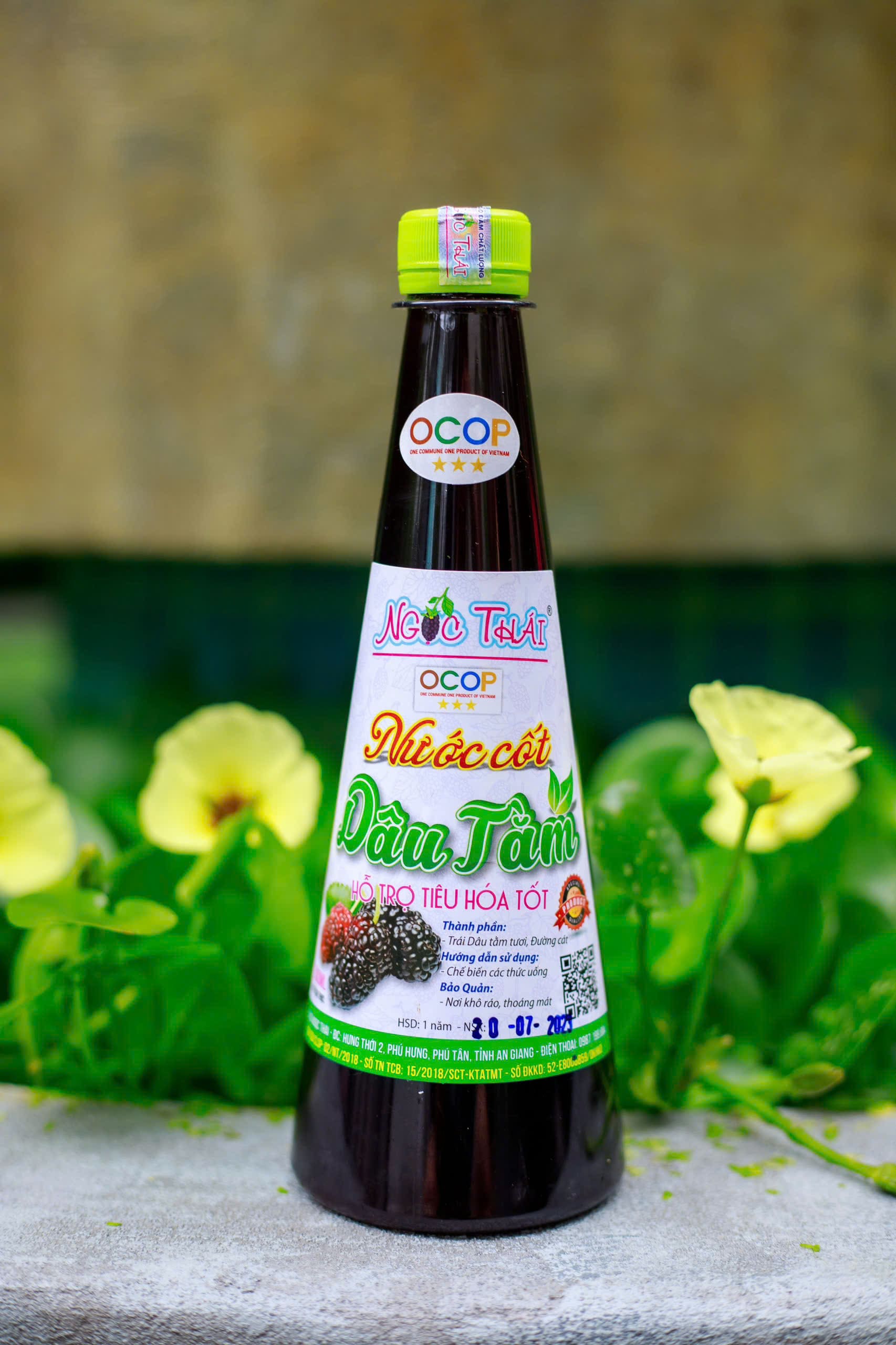 Dâu Tằm Ngọc Thái