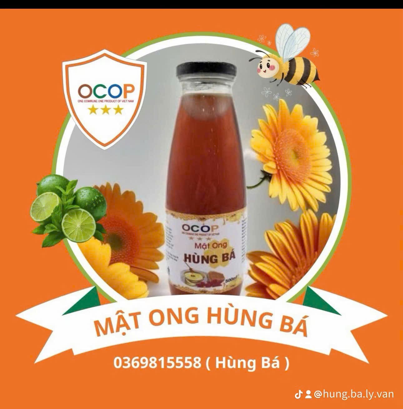 Mật Ong Hùng Bá - Mật ong nguyên chất