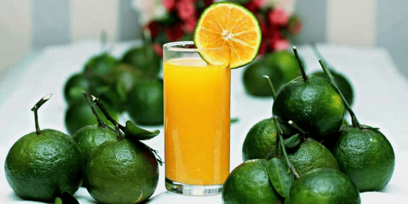 HỢP TÁC XÃ CAM SÀNH THẮM TÀI