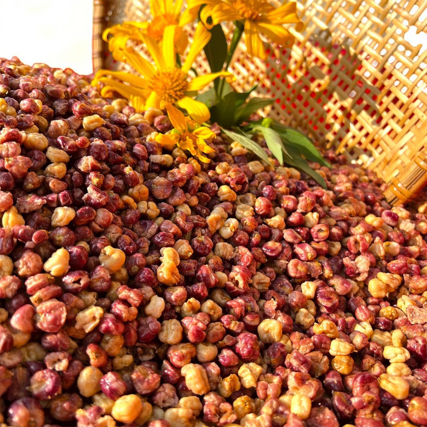 HỢP TÁC XÃ NÔNG NGHIỆP TIẾN HÙNG ĐIỆN BIÊN