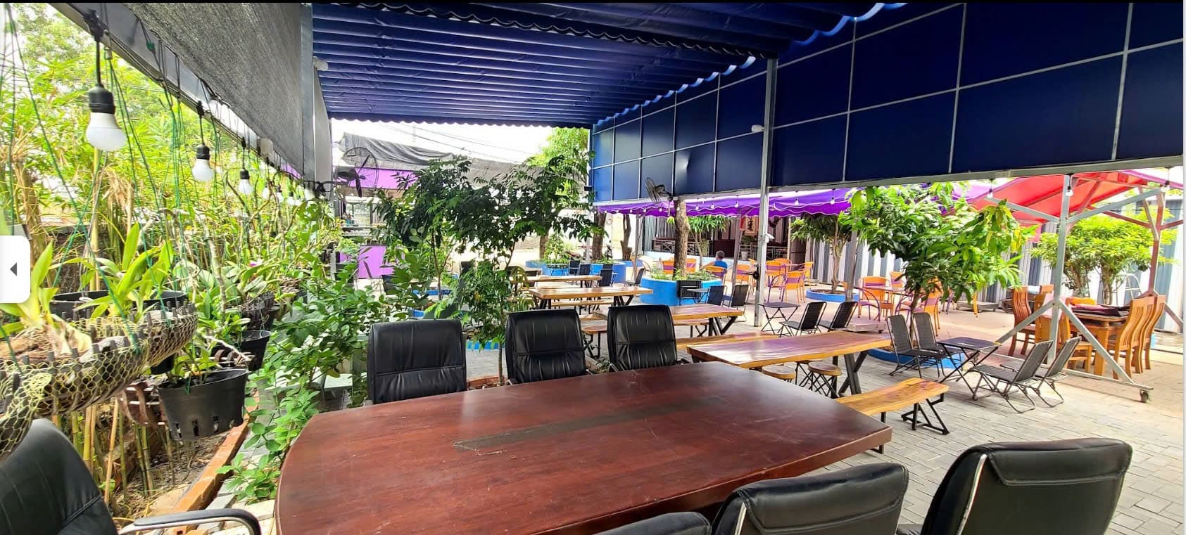 HỘ KINH DOANH CÀ PHÊ VƯỜN NHO NGỌC CHÂU