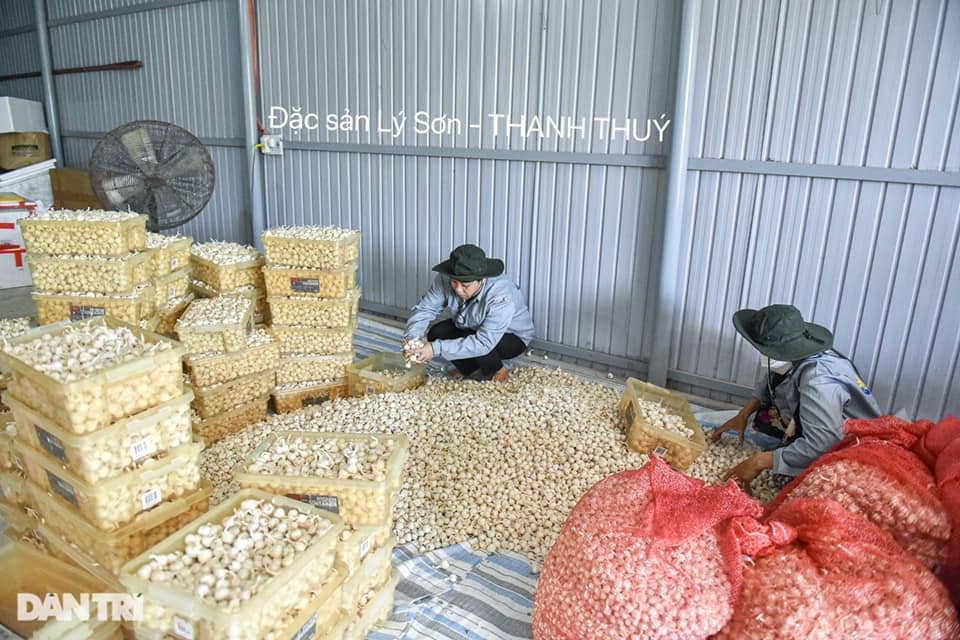 Hành Tỏi Lý Sơn Thanh Thúy
