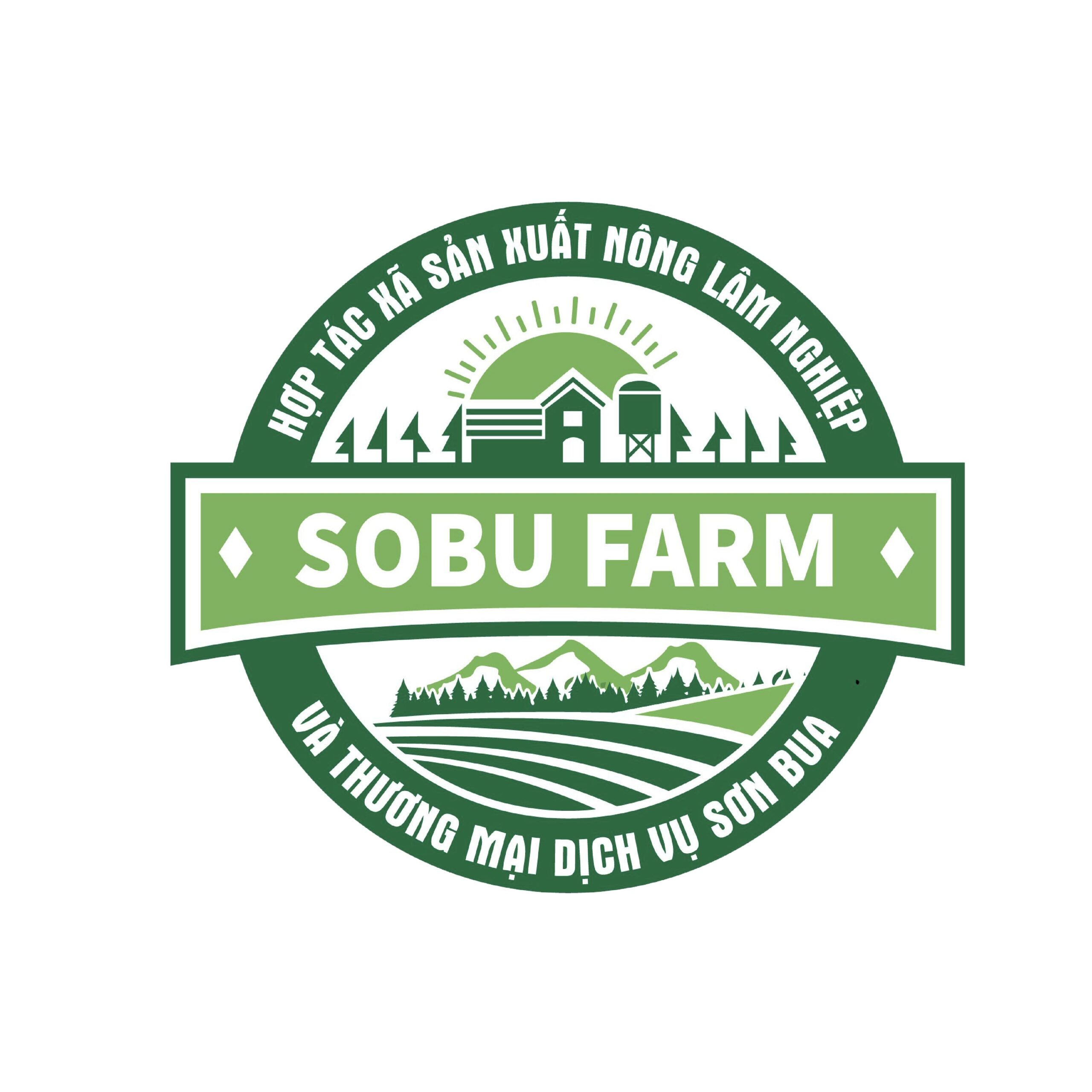 HỢP TÁC XÃ SƠN BUA