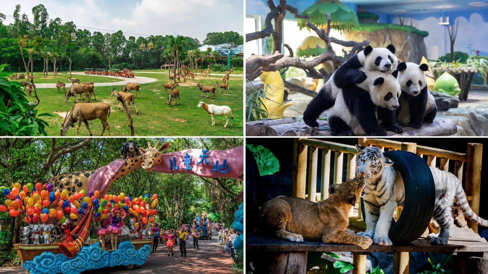 CÔNG TY CỔ PHẦN DỊCH VỤ DU LỊCH COZYTRAVEL