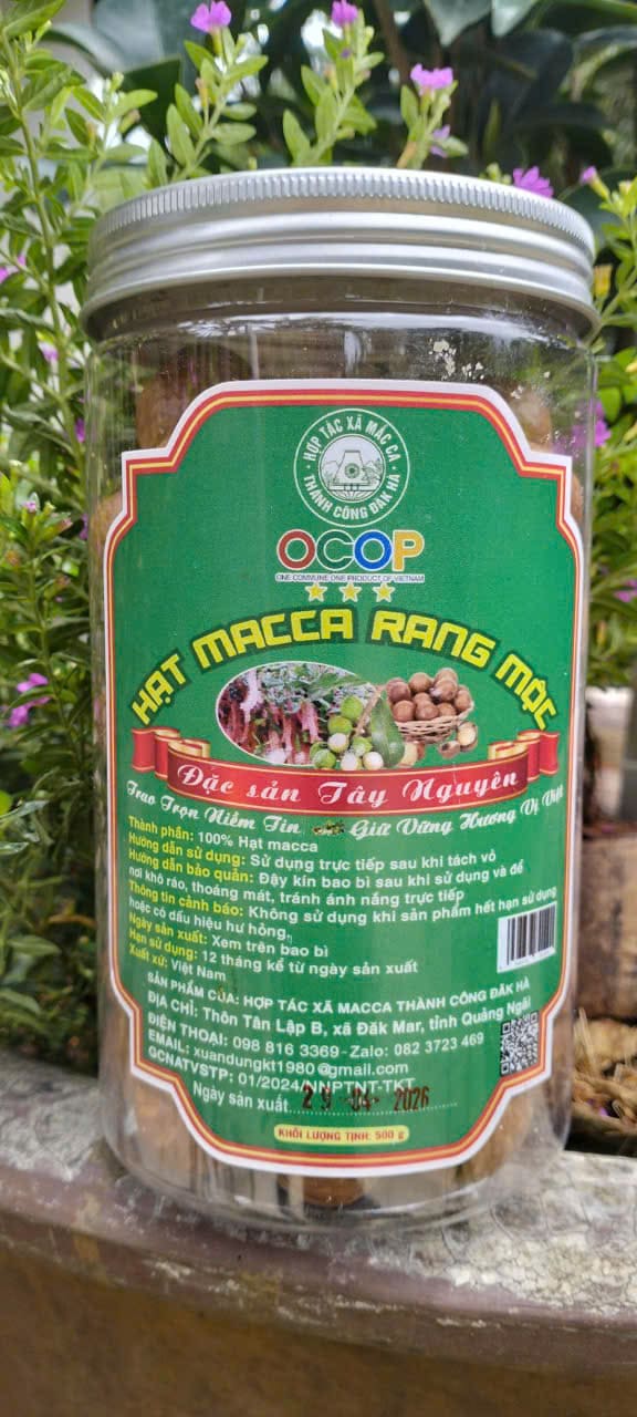 Mắc Ca Thành Công Đăk Hà