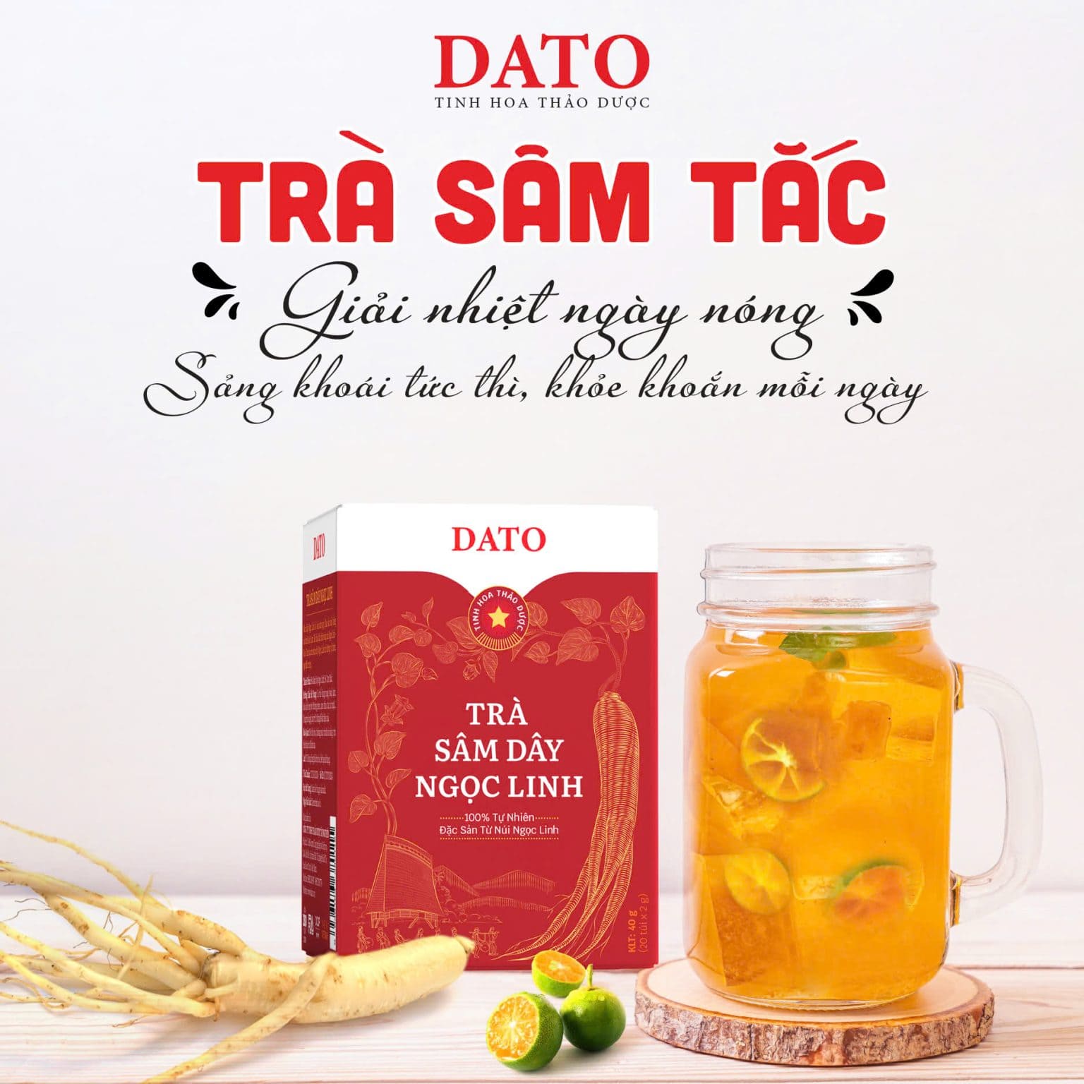 DATO - Dược liệu và gia vị Tây Nguyên