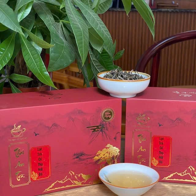 CÔNG TY TNHH SẢN XUẤT DỊCH VỤ XUẤT NHẬP KHẨU THÁI AN