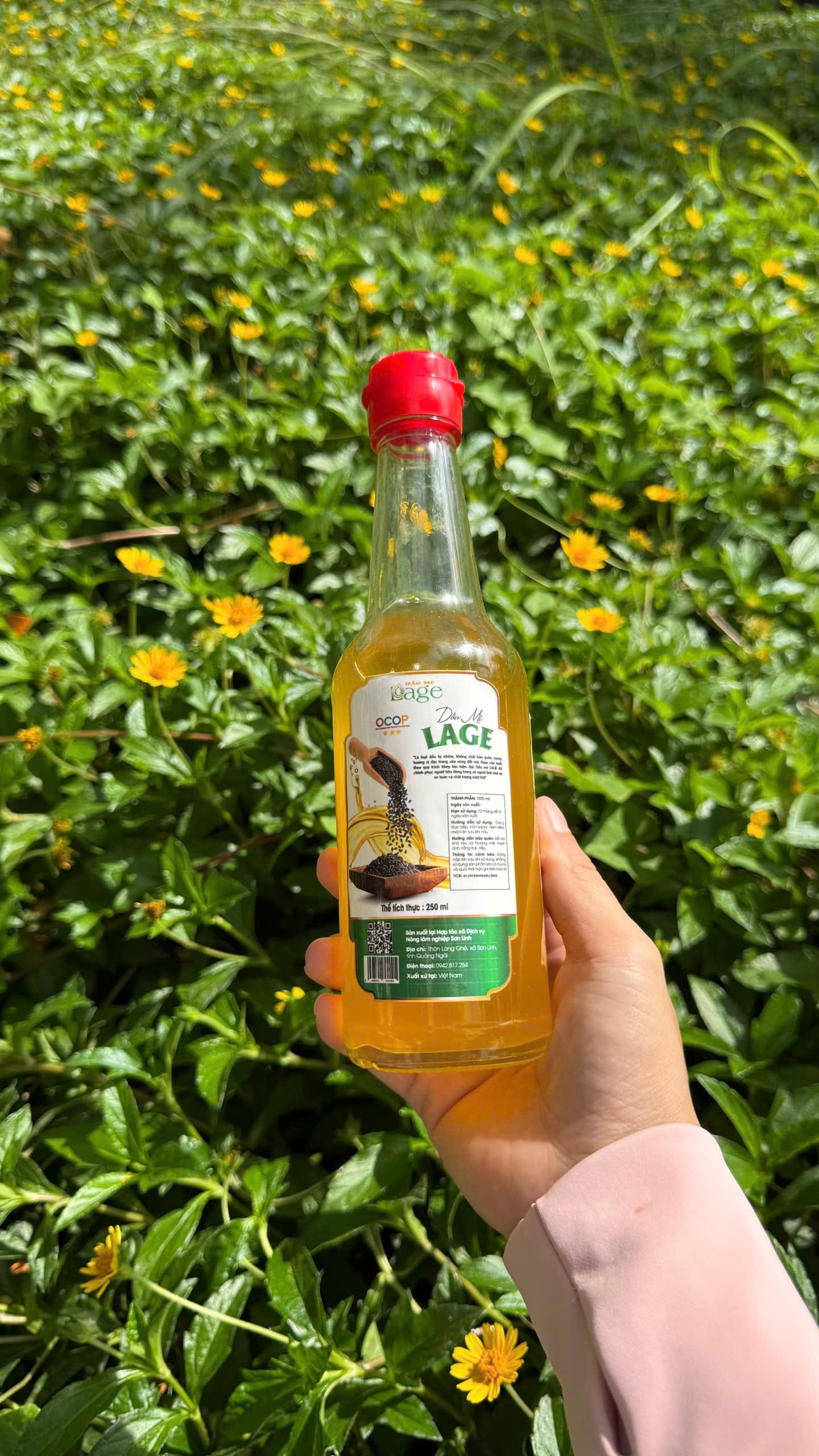 Dầu mè Lage - Sản phẩm HTX Sơn Linh