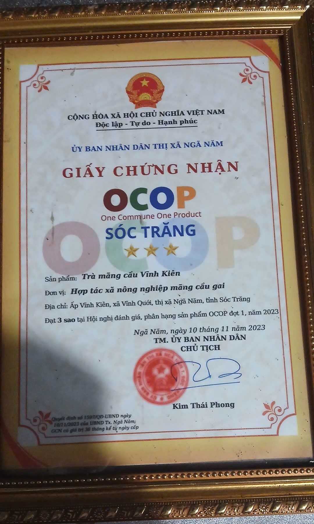 Trà Mãng Cầu Vĩnh Kiên - Đặc sản Ngã Năm