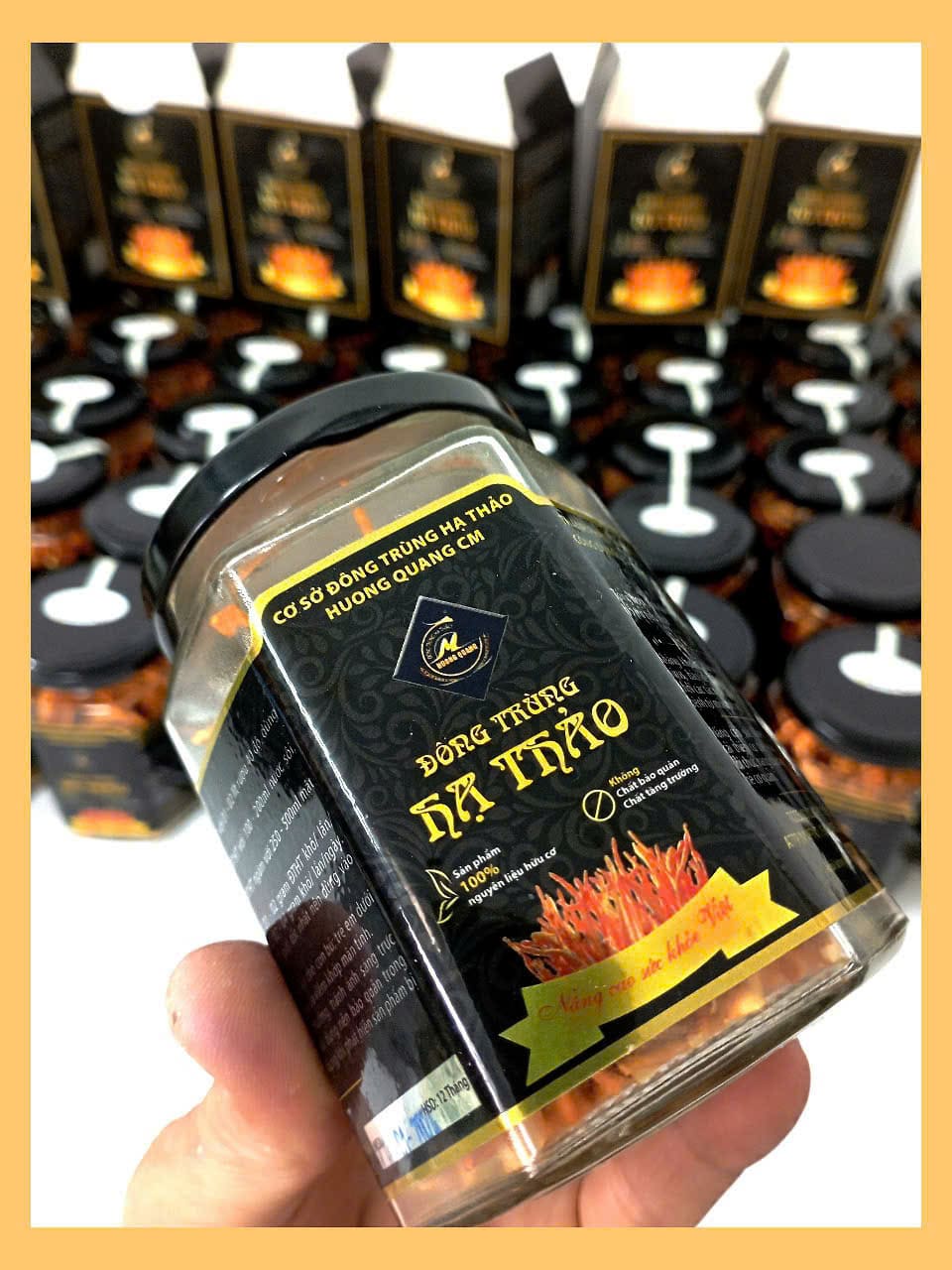 Đông trùng hạ thảo Hương Quang