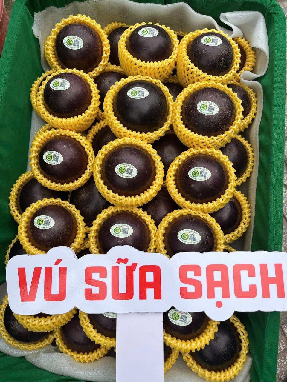 Trái Cây Tươi Trinh Phú