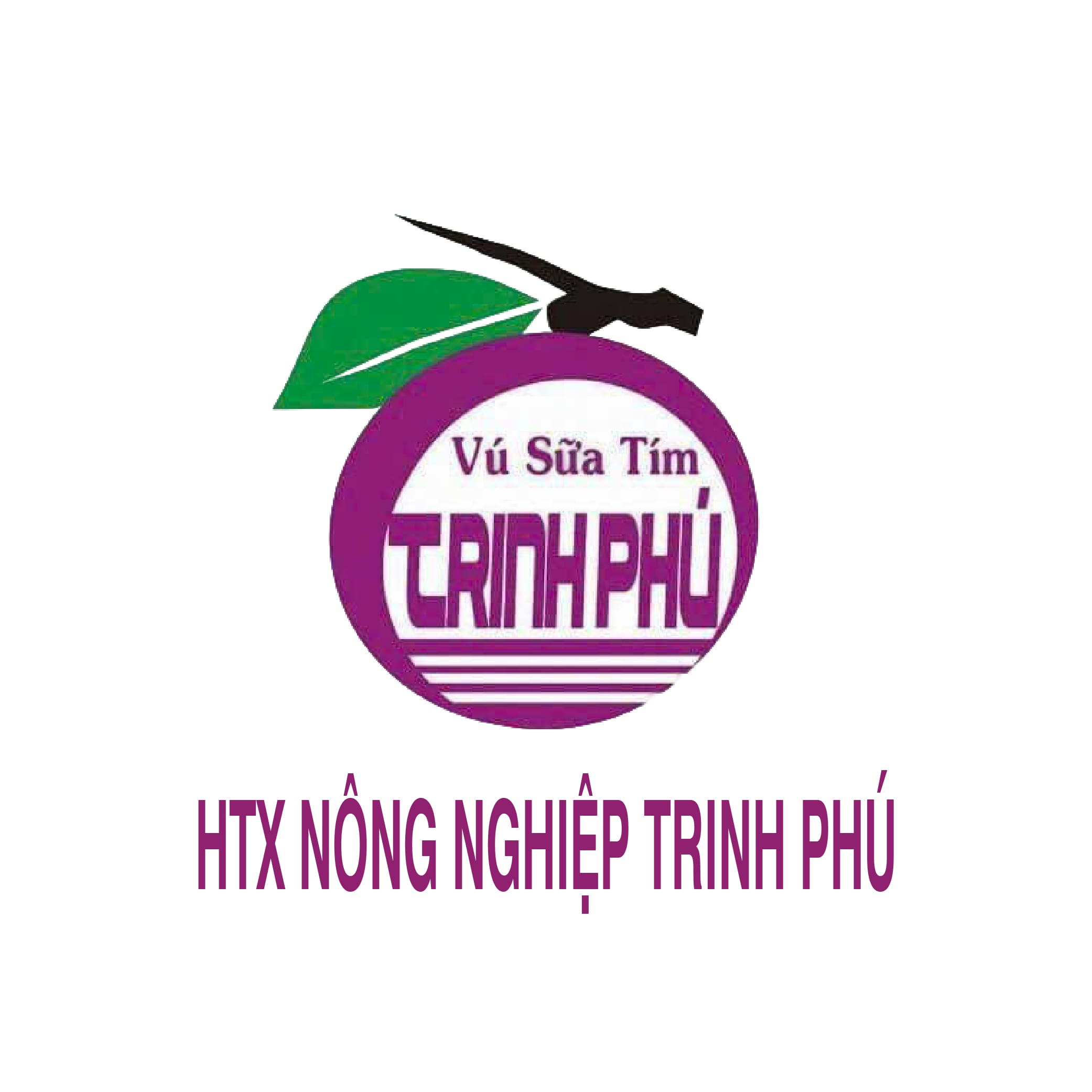 Trái Cây Tươi Trinh Phú