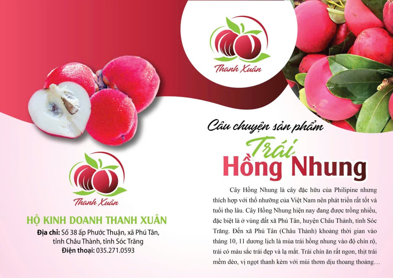 Hồng nhung Thanh Xuân - Trái cây và cây giống