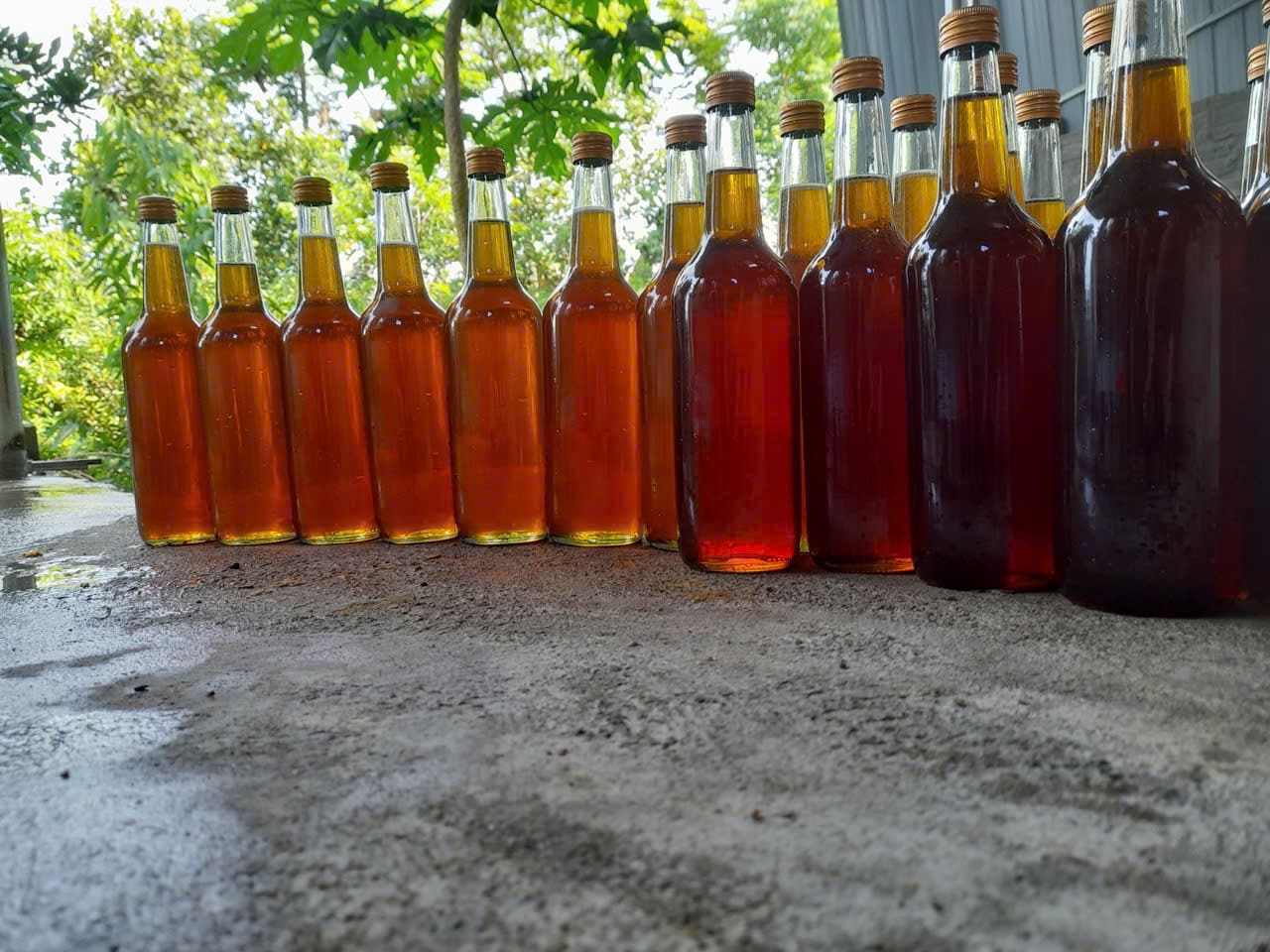 Mật ong Bù Sèo