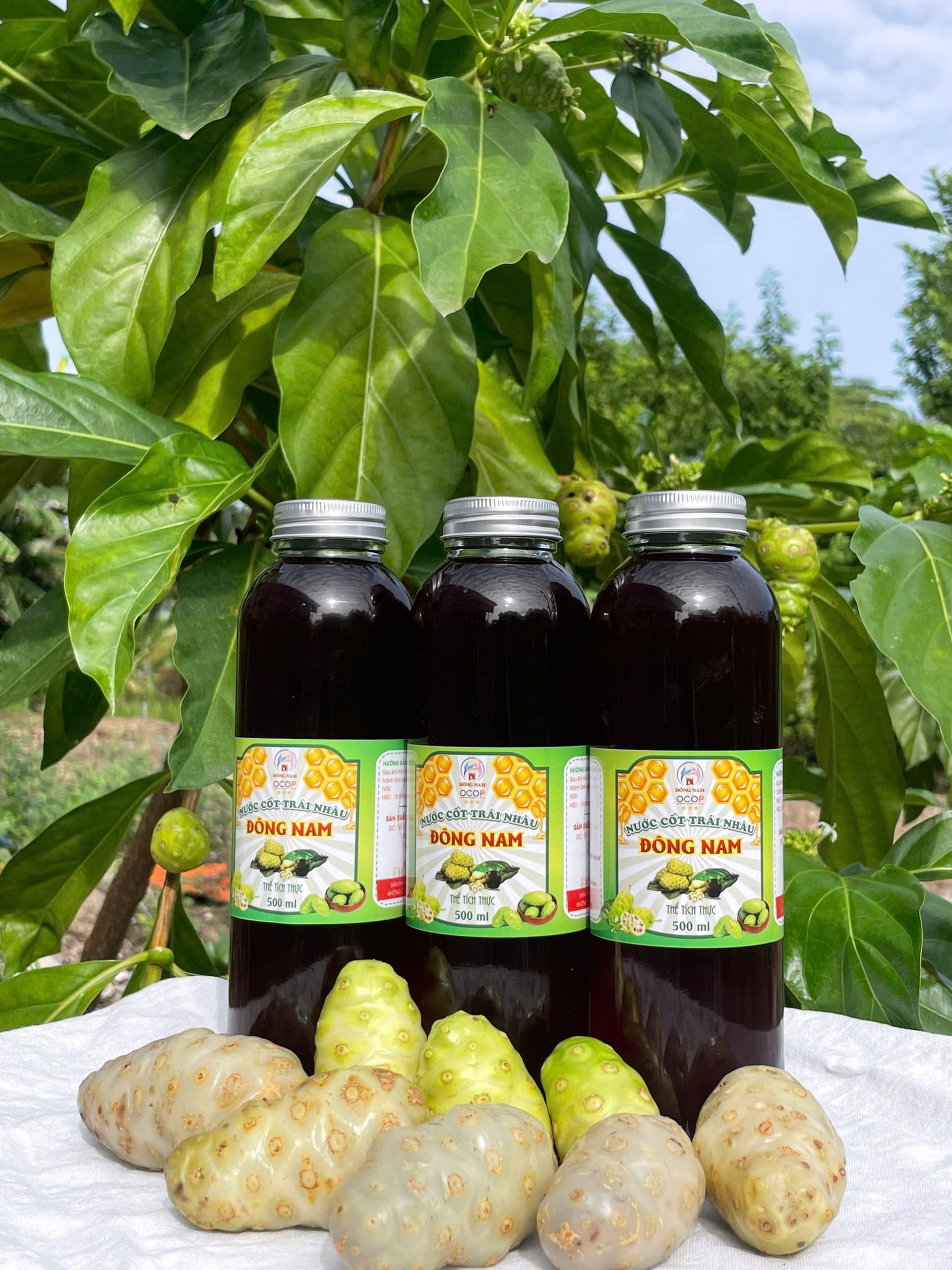 Hộ Kinh Doanh Đông Nam