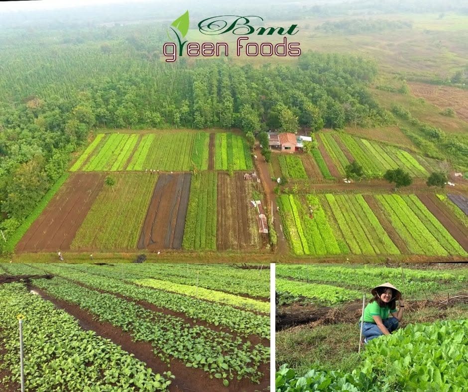 VƯỜN AN NHIÊN - QUÁN CHAY RAU SẠCH