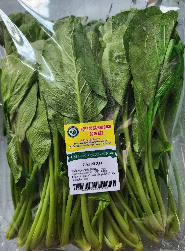 HỢP TÁC XÃ RAU SẠCH ĐOÀN KẾT
