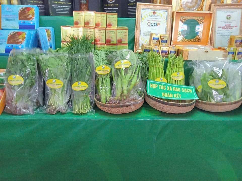 HỢP TÁC XÃ RAU SẠCH ĐOÀN KẾT