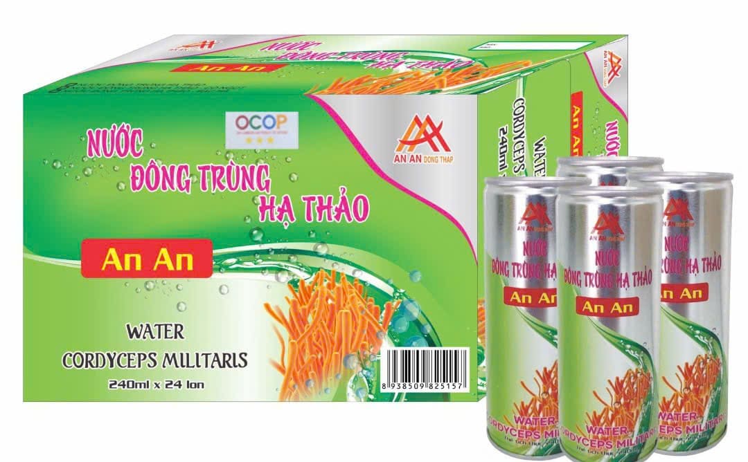 CÔNG TY TNHH AN AN ĐỒNG THÁP