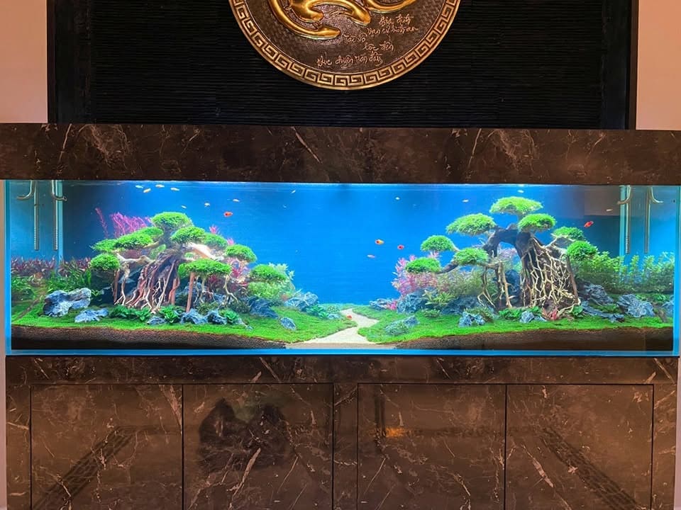 HỘ KINH DOANH YÊU THỦY SINH