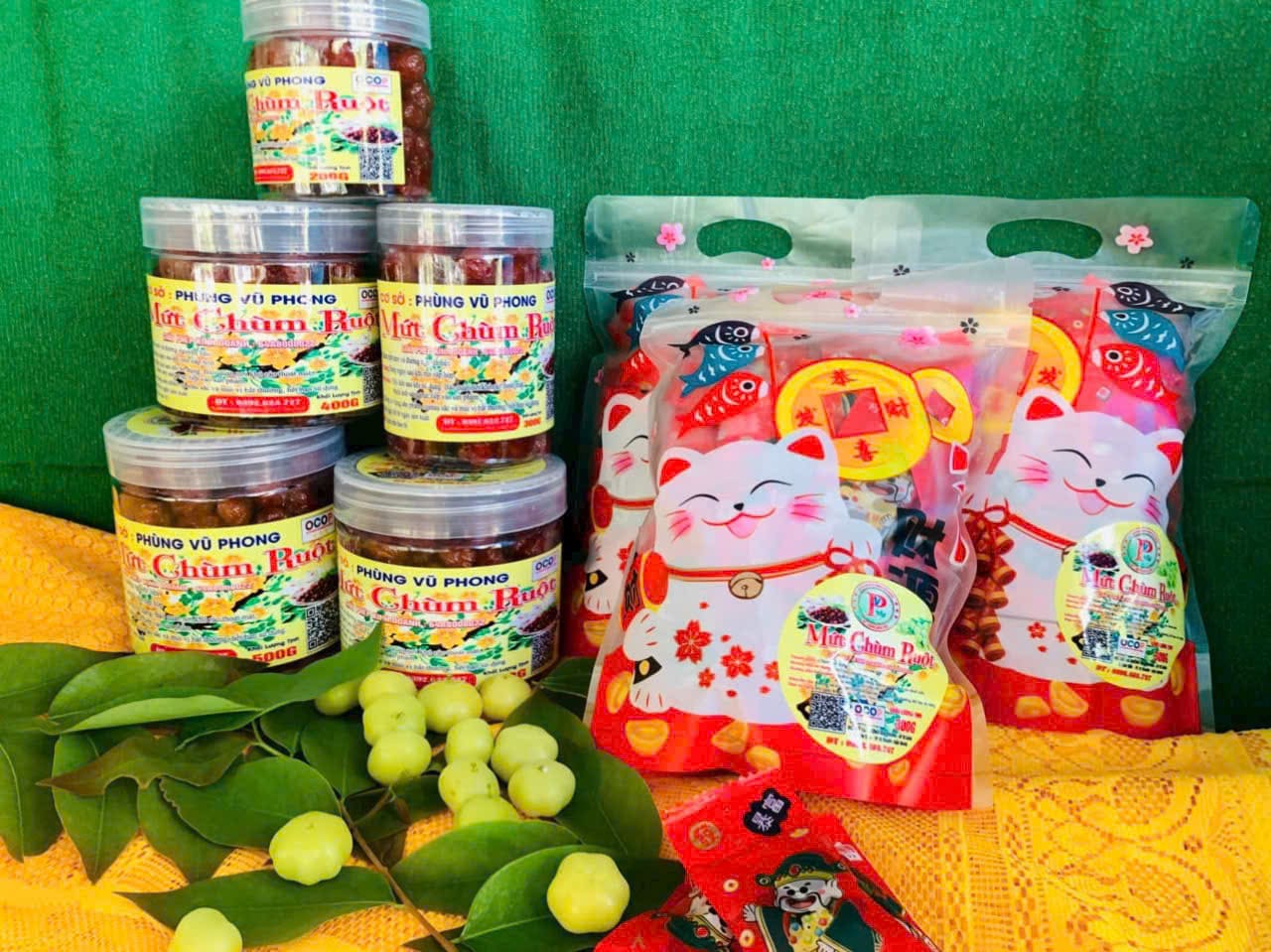 HỘ KINH DOANH PHÙNG VŨ PHONG