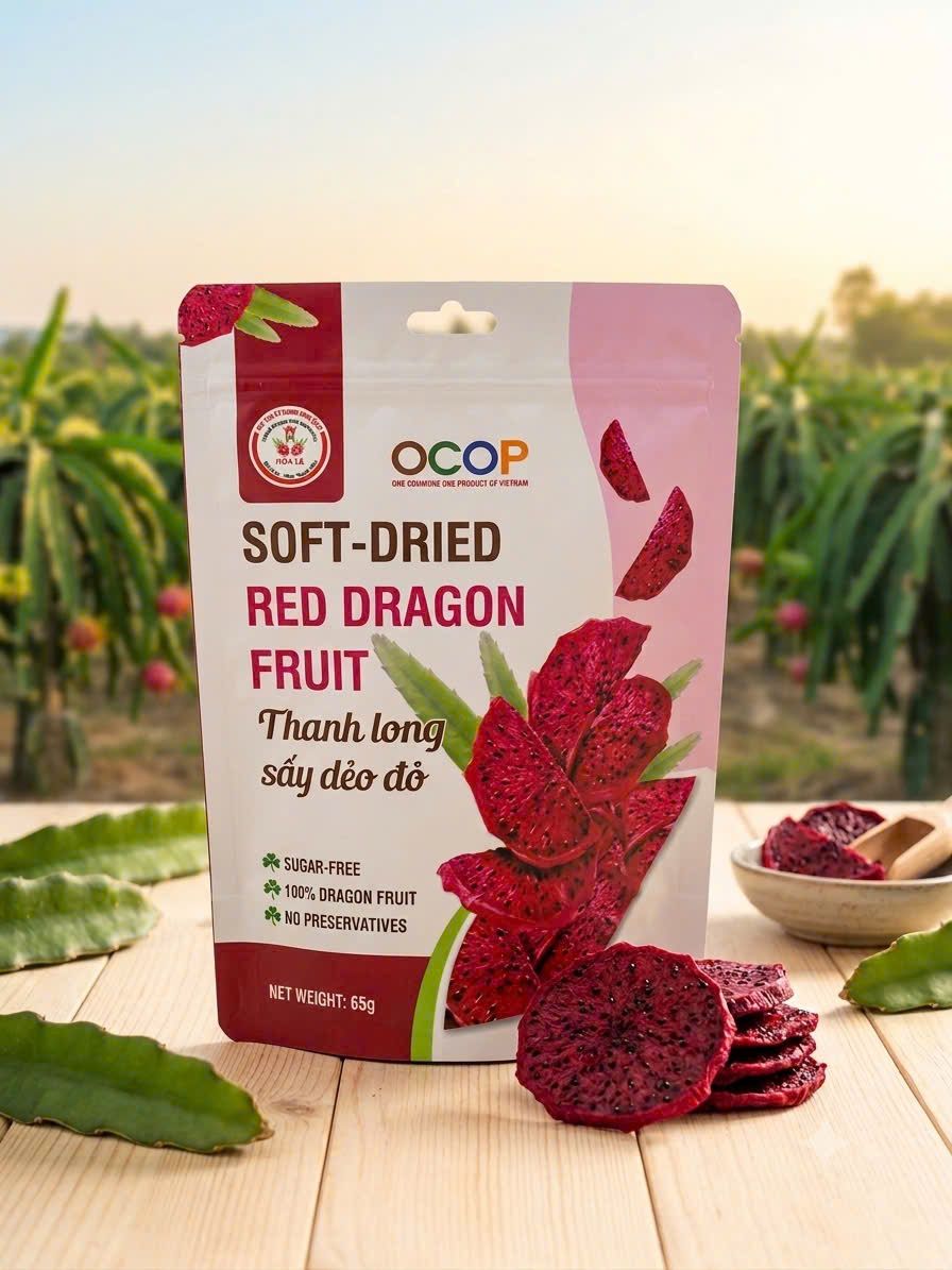 HỢP TÁC XÃ THANH LONG SẠCH HÒA LỆ