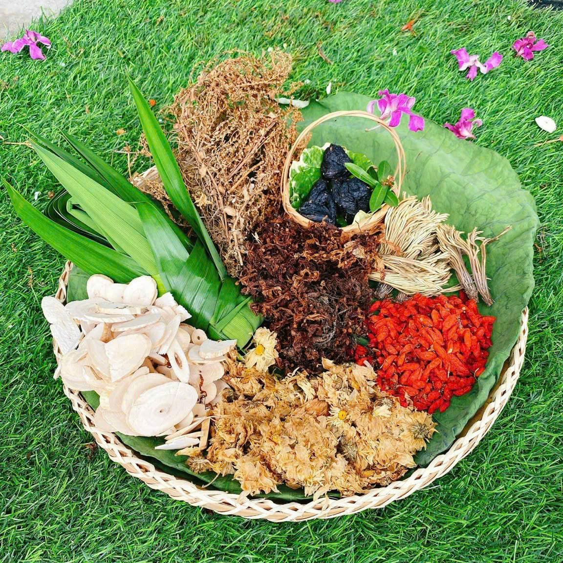 CÔNG TY TNHH THẢO DƯỢC TỪ TÂM MAI TÙNG