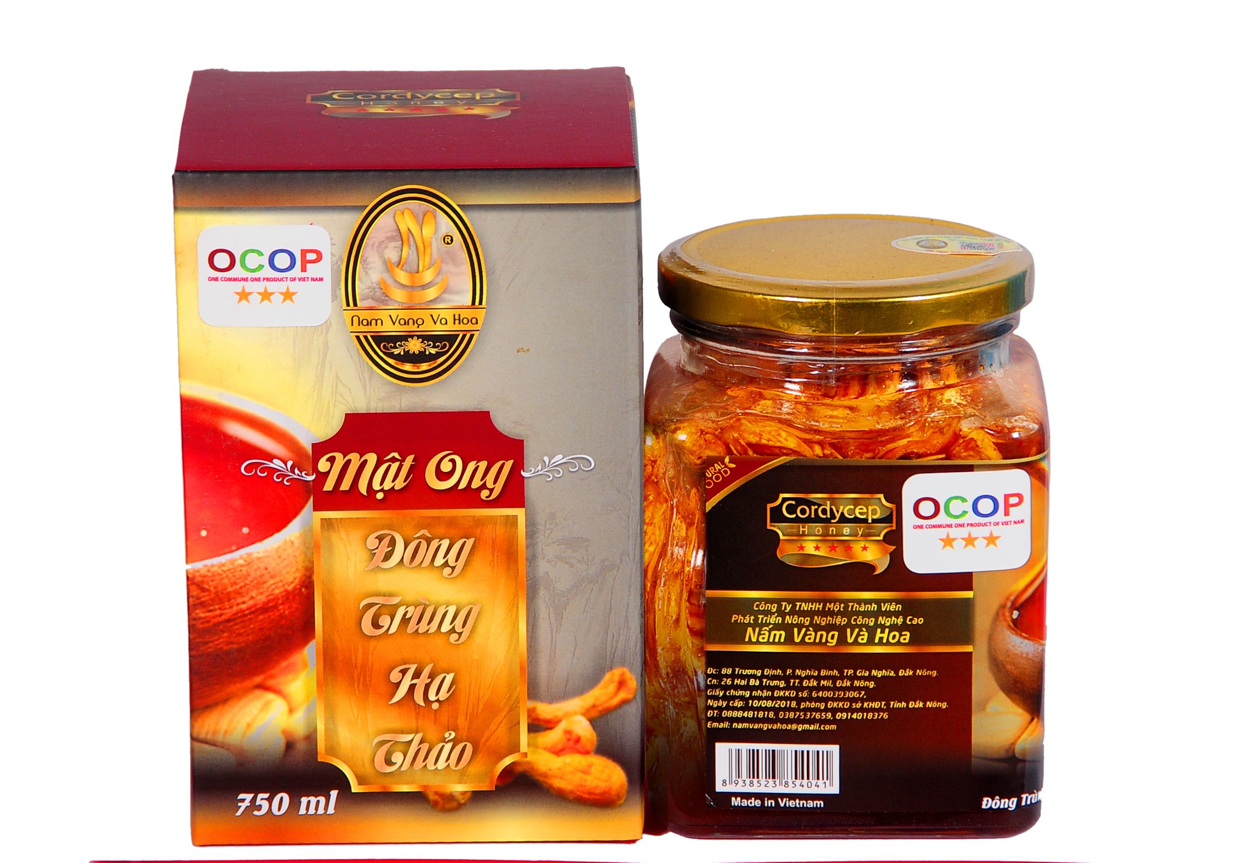 CÔNG TY TNHH MỘT THÀNH VIÊN PHÁT TRIỂN NÔNG NGHIỆP CÔNG NGHỆ CAO NẤM VÀNG VÀ HOA