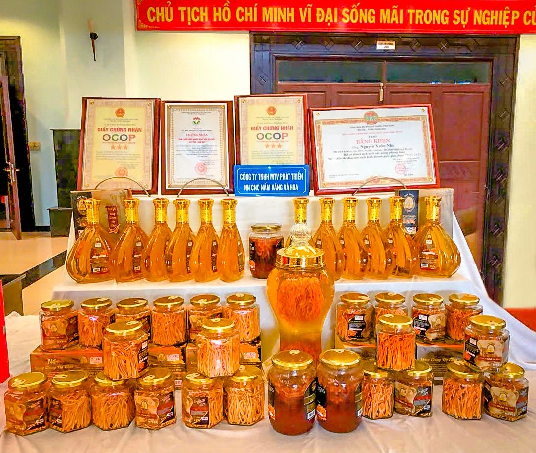 CÔNG TY TNHH MỘT THÀNH VIÊN PHÁT TRIỂN NÔNG NGHIỆP CÔNG NGHỆ CAO NẤM VÀNG VÀ HOA