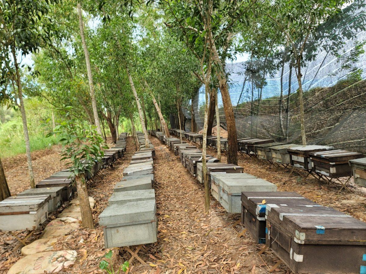 HỘ KINH DOANH PHỤNG LÀNH