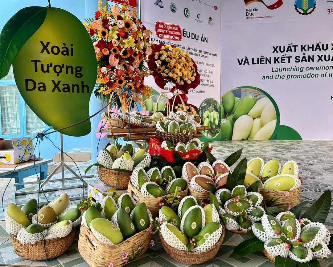 HỢP TÁC XÃ GAP CÙ LAO GIÊNG