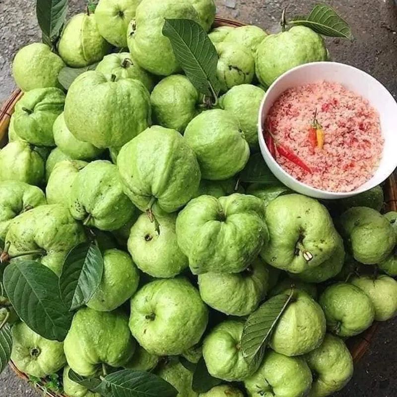 HỢP TÁC XÃ DỊCH VỤ NÔNG NGHIỆP 19/5 HUYỆN NGHĨA ĐÀN, NGHỆ AN
